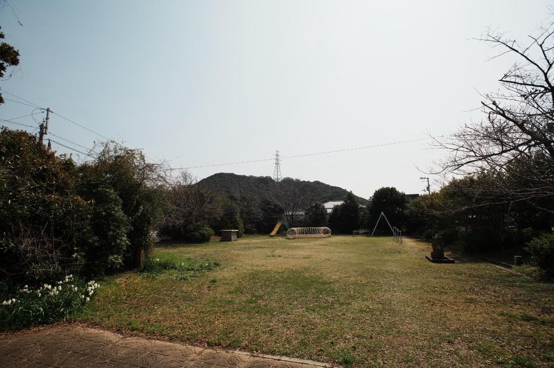 テスト済 Nikon AF-S Nikkor 17-35mm F2.8D 100