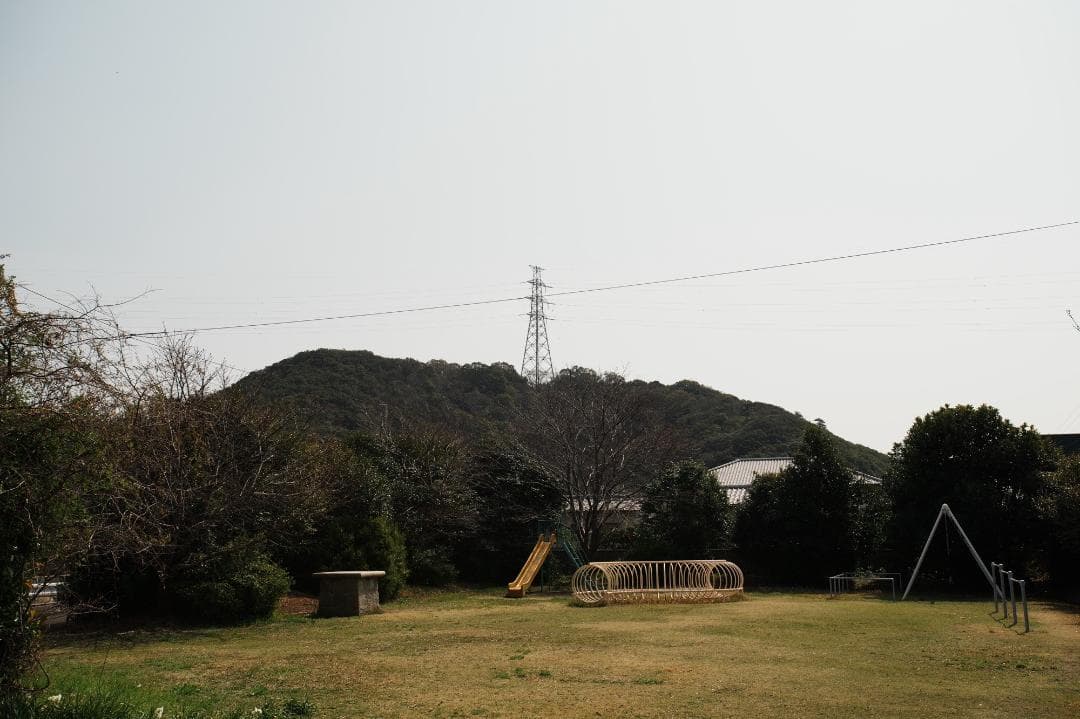 テスト済 Nikon AF-S Nikkor 17-35mm F2.8D 100