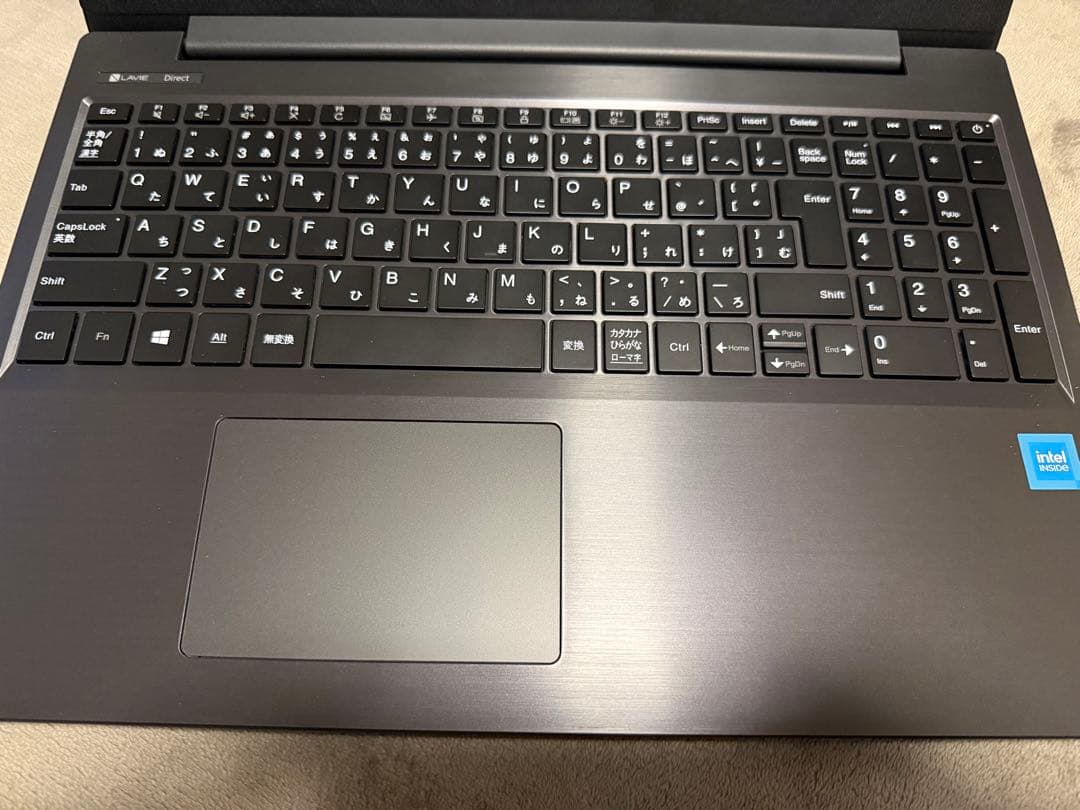 NEC LAVIE Direct N15(S） 15.6インチ