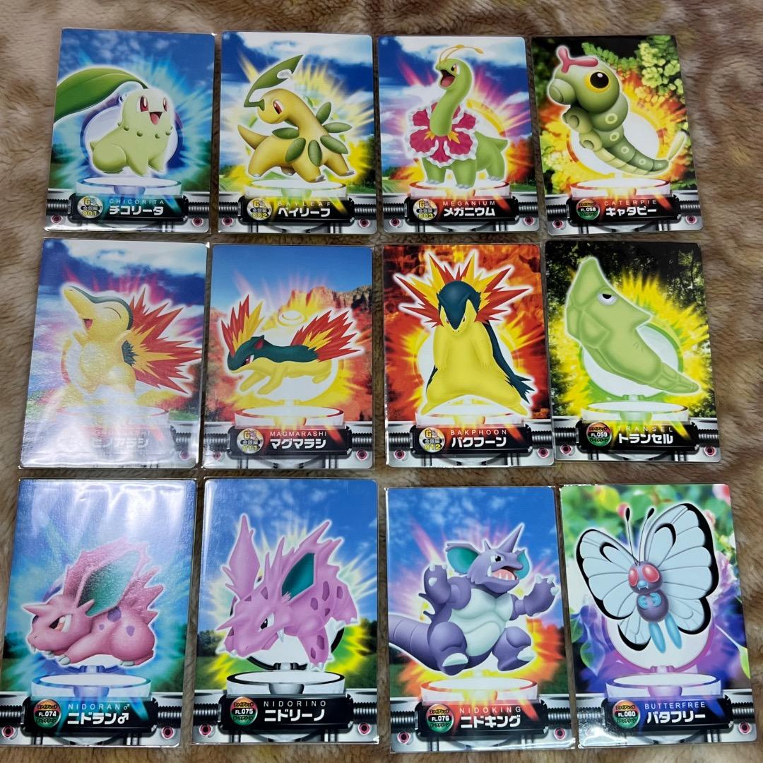 ポケモンカードダス ポケモンずかんカード エンテイ ライコウ 3D まとめ売り