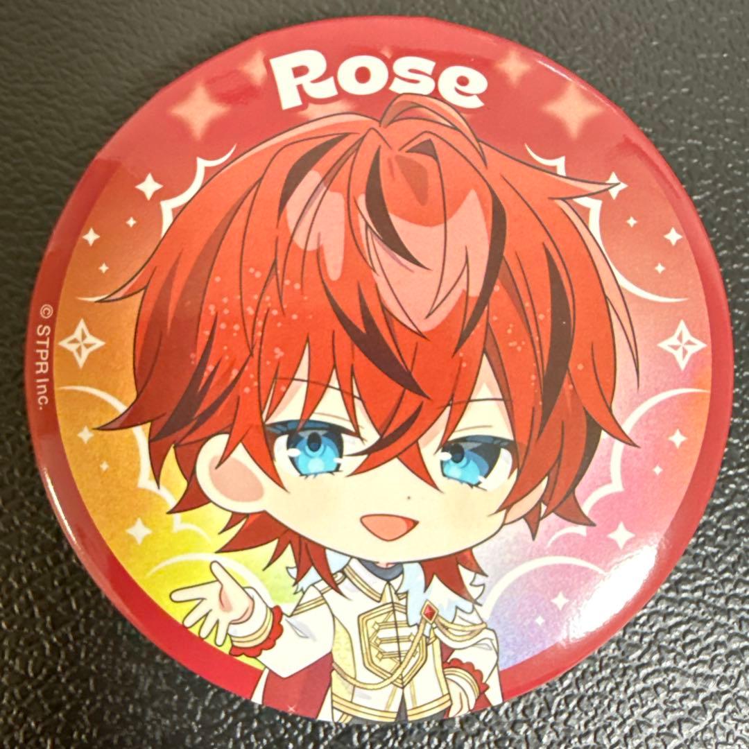 ロゼ Rose すとふぇす 2026 SD めておら 缶バッジ 10点