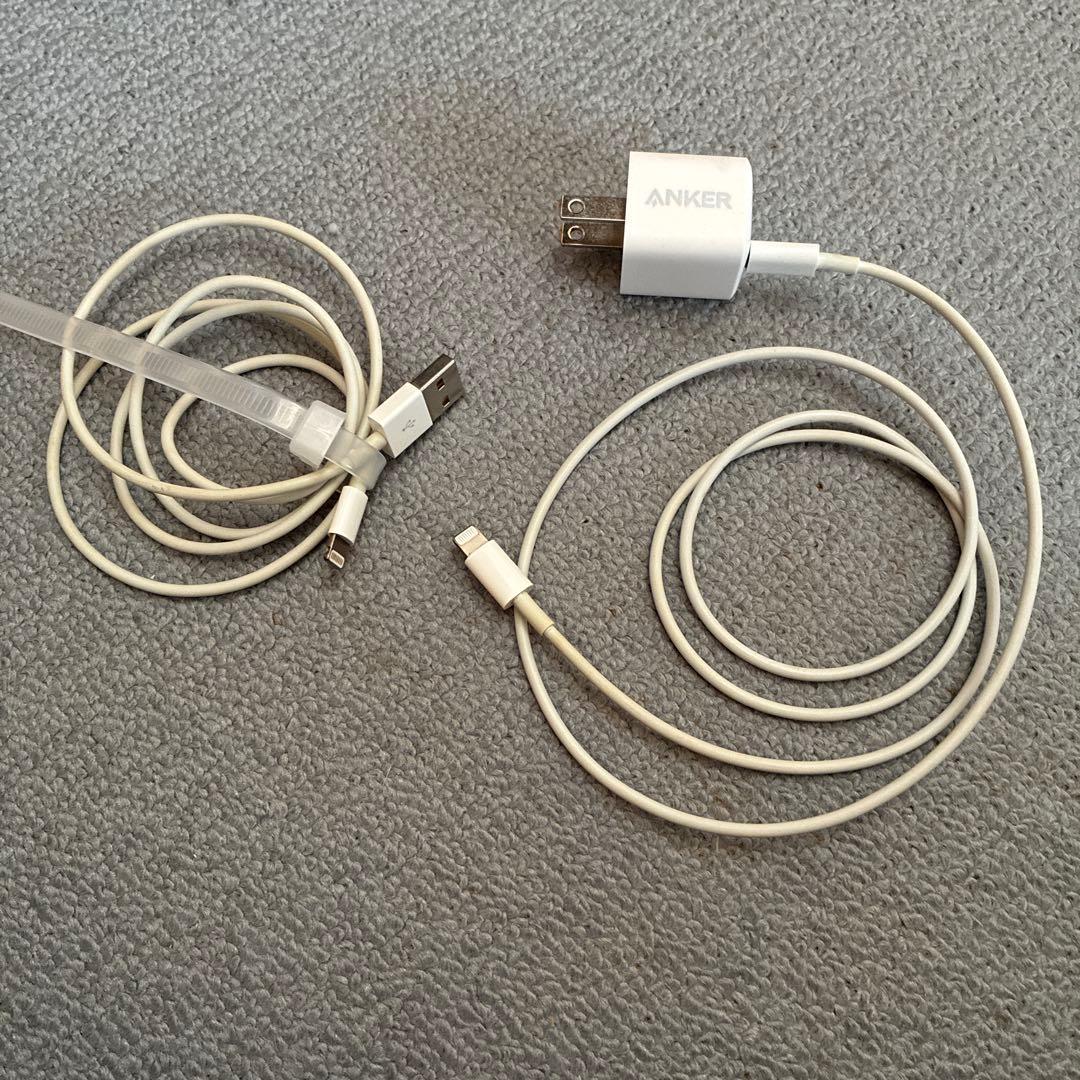 iPhone(アイフォン)　SE2と急速充電アダプターとライトニングケーブル2本