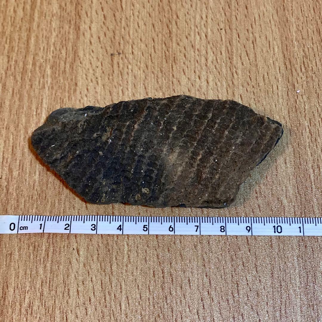 縄文土器　陶片 6点セット　4000〜5500年前