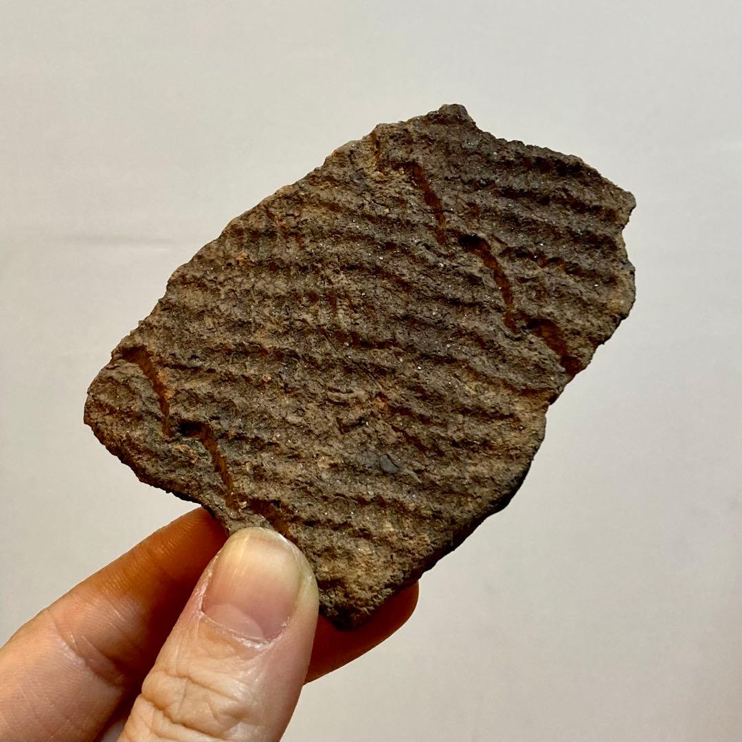 縄文土器　陶片 6点セット　4000〜5500年前