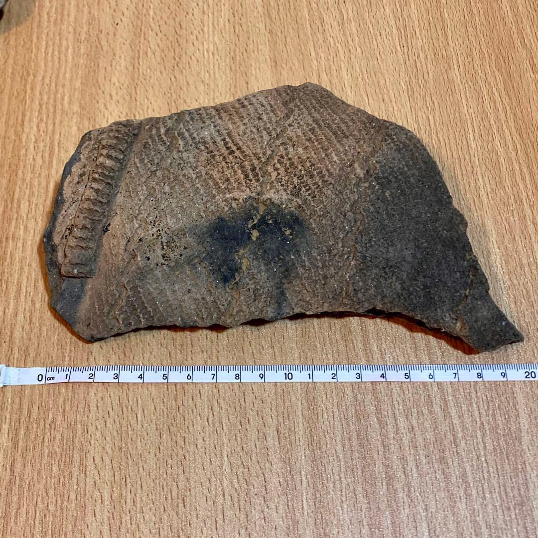 縄文土器　陶片 6点セット　4000〜5500年前