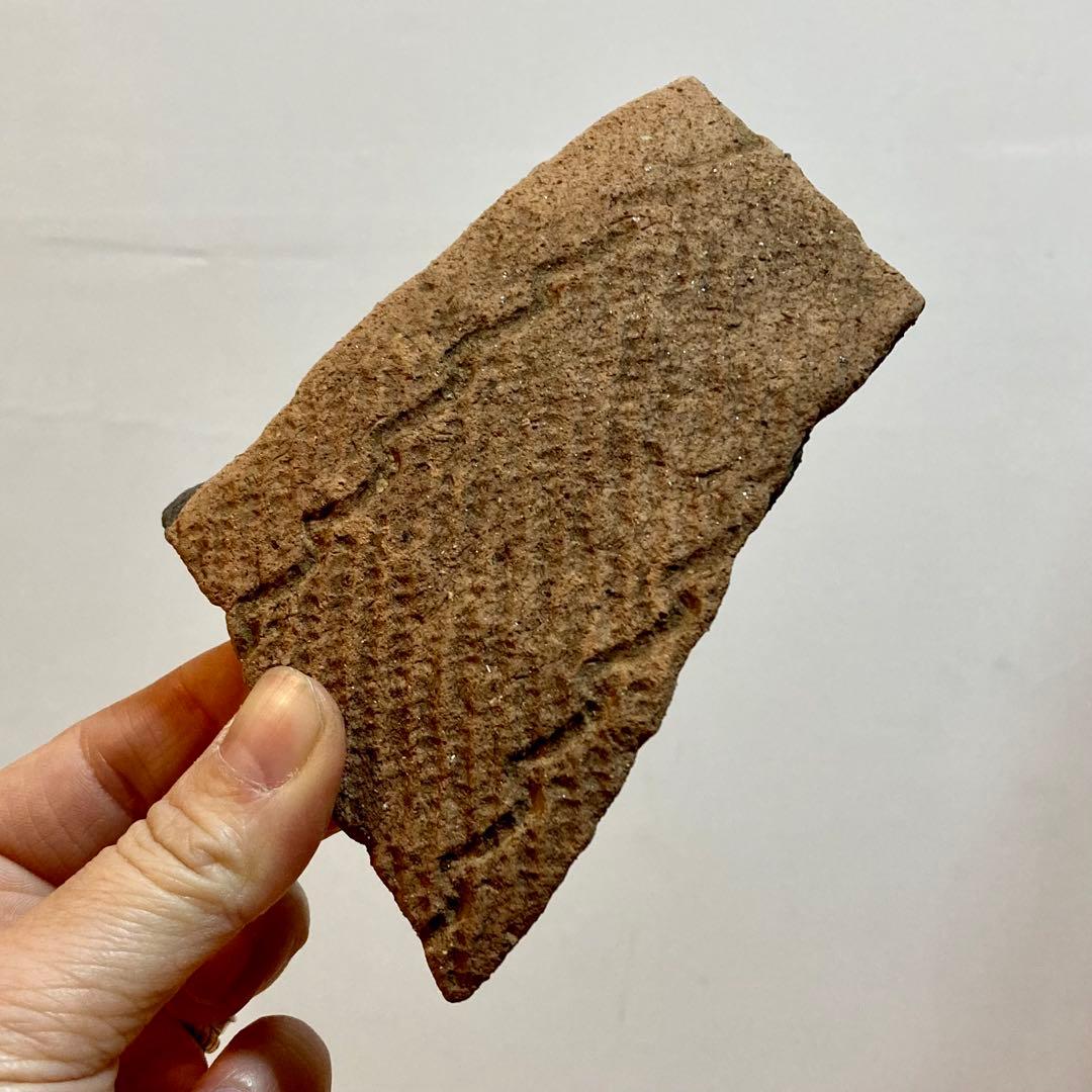 縄文土器　陶片 6点セット　4000〜5500年前