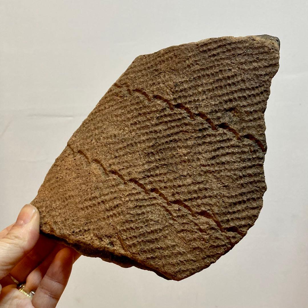 縄文土器　陶片 6点セット　4000〜5500年前