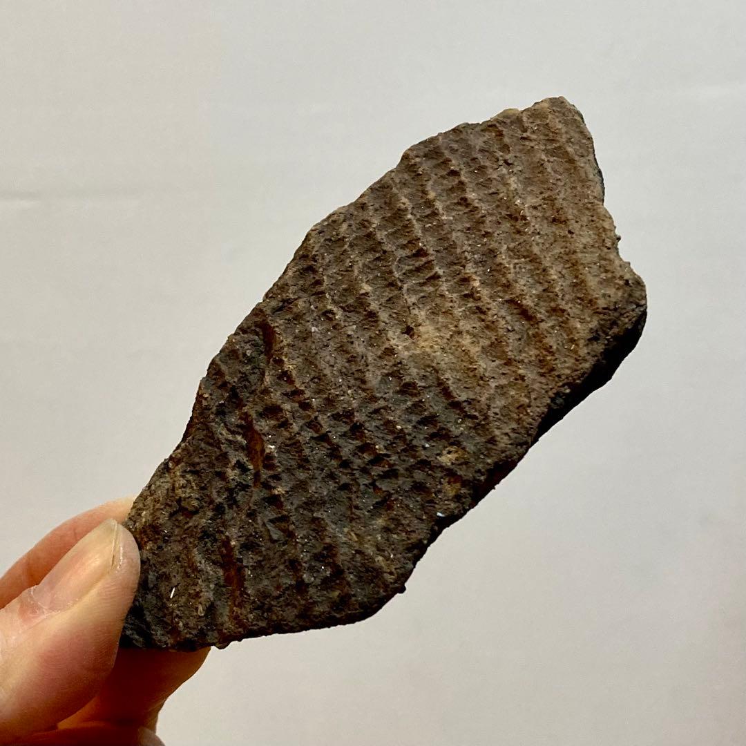 縄文土器　陶片 6点セット　4000〜5500年前