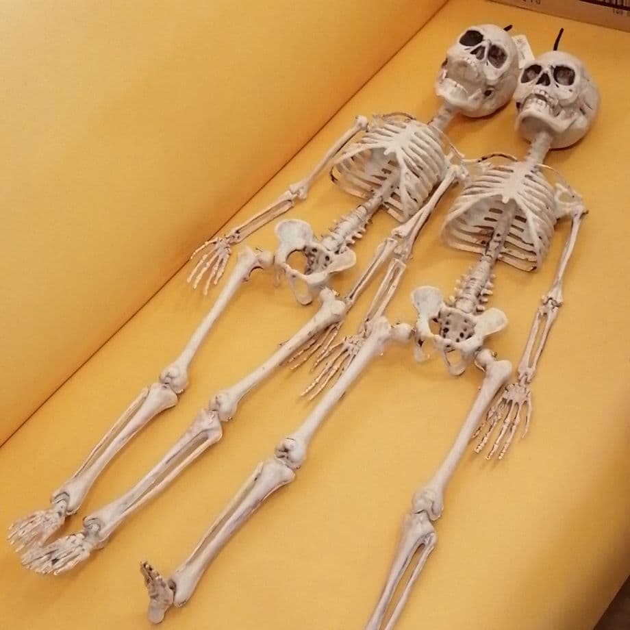 身長約７５センチハロウィーン骸骨オブジェ×2セット