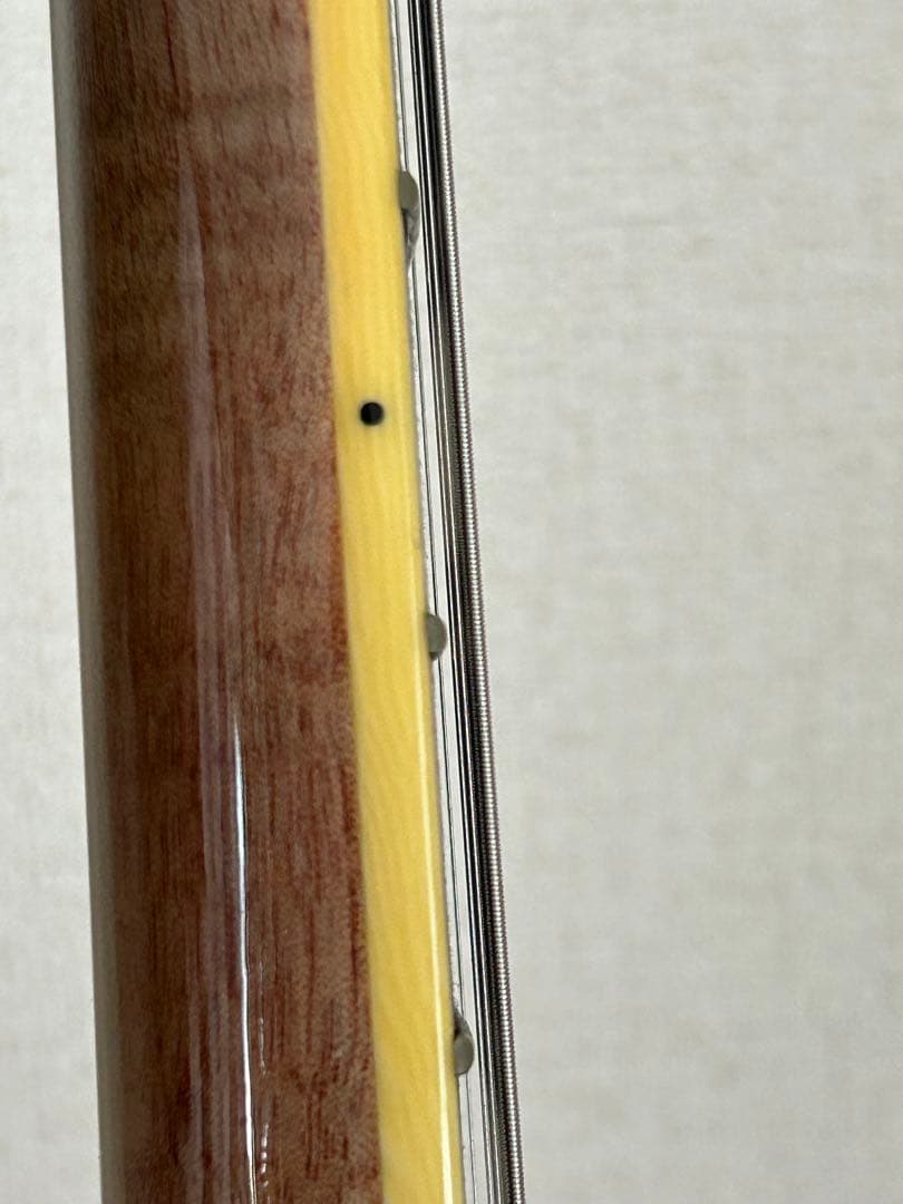 Ibanez セミホロウボディ エレキギター