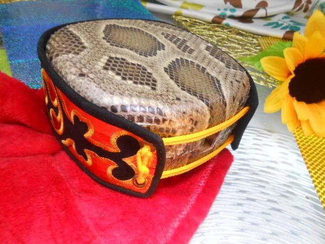 (送料無料)19.980円　盛嶋開鐘チーガ(木枠)を蛇皮強化(蛇皮)型チーガに!