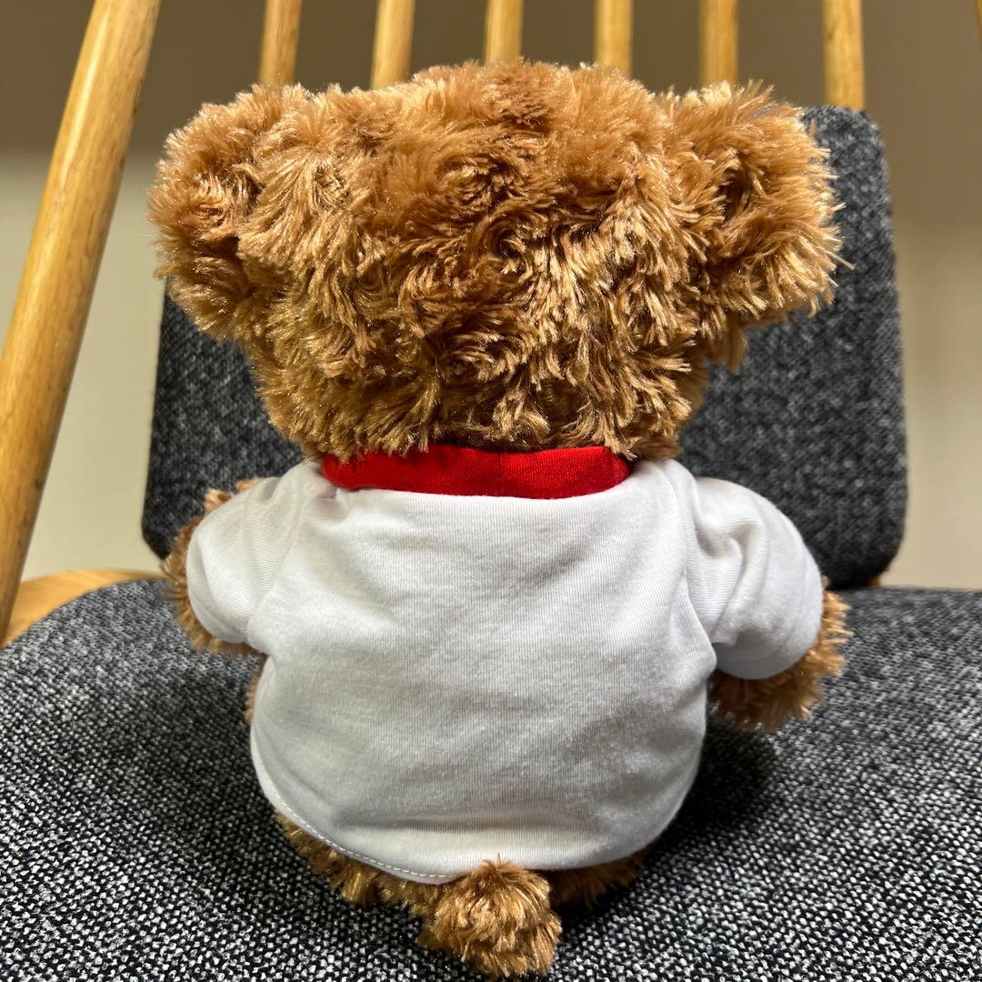 WDW ディズニーベア　ダッフィー ぬいぐるみ