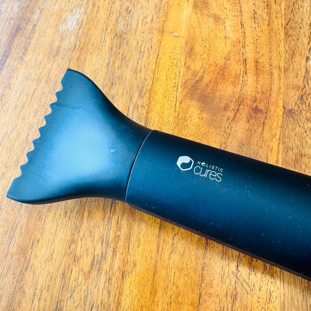 【中古美品】ホリスティックキュア ドライヤーRp