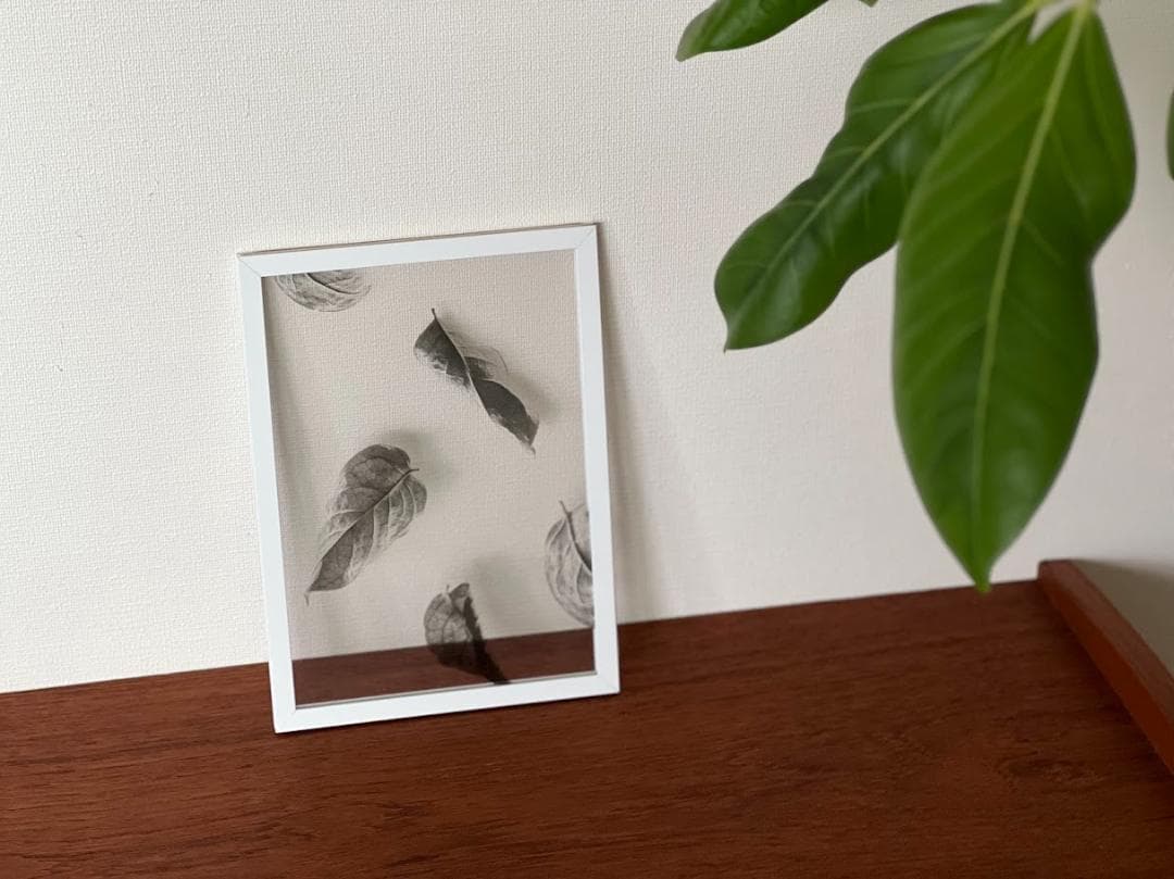 ペーパーコレクティブFloating Leaves 02 ＆ムーベフレームセット
