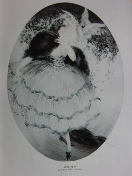 ルイ・イカール、ボタンインコ、豪華限定版・定価１０万３千円、新品額付