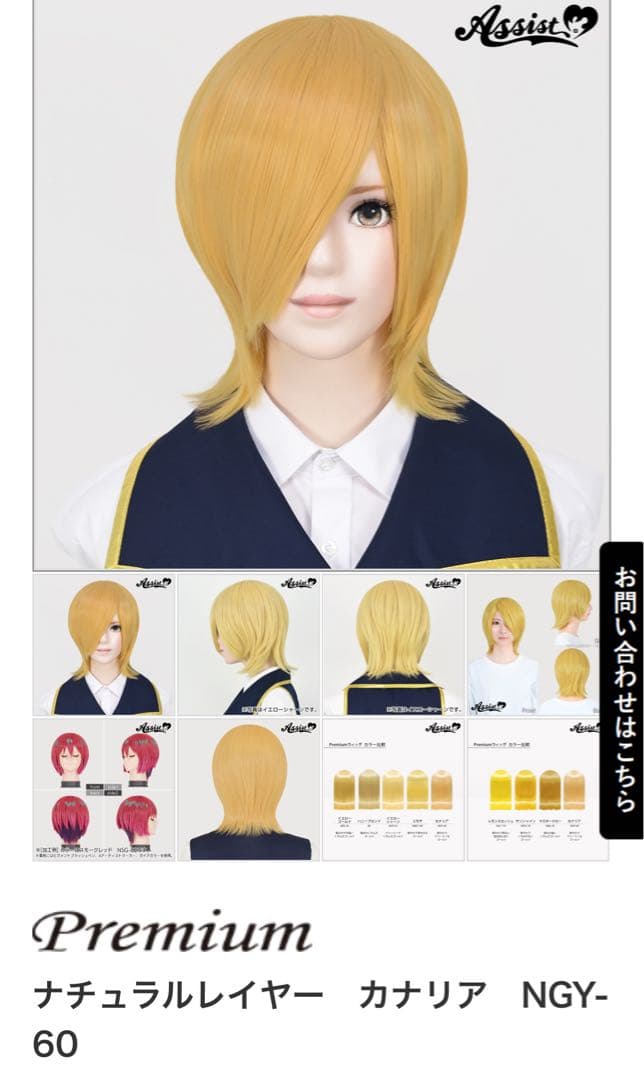 あずきなこ様 コスプレ ウィッグ オーダー 専用ページ ②