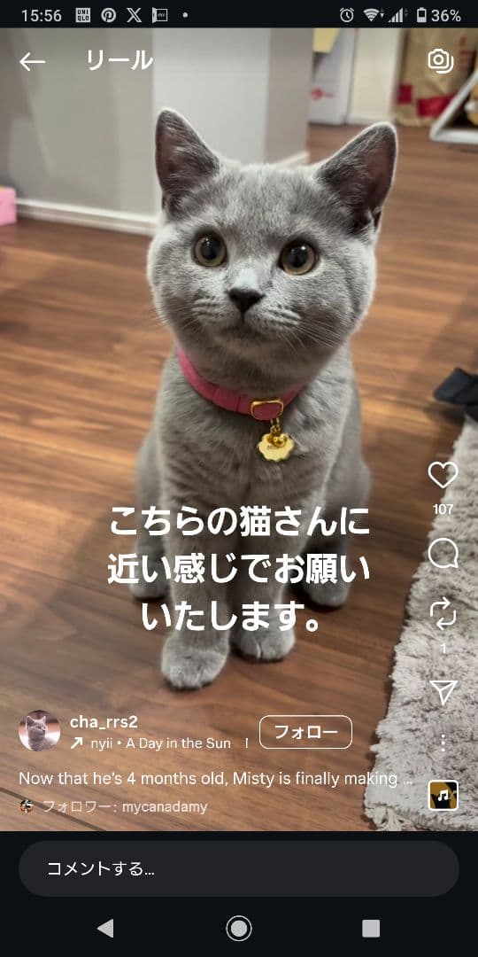 11/11更新【見本出品】豆猫アーティスト　PECO-LIN様『確認用』