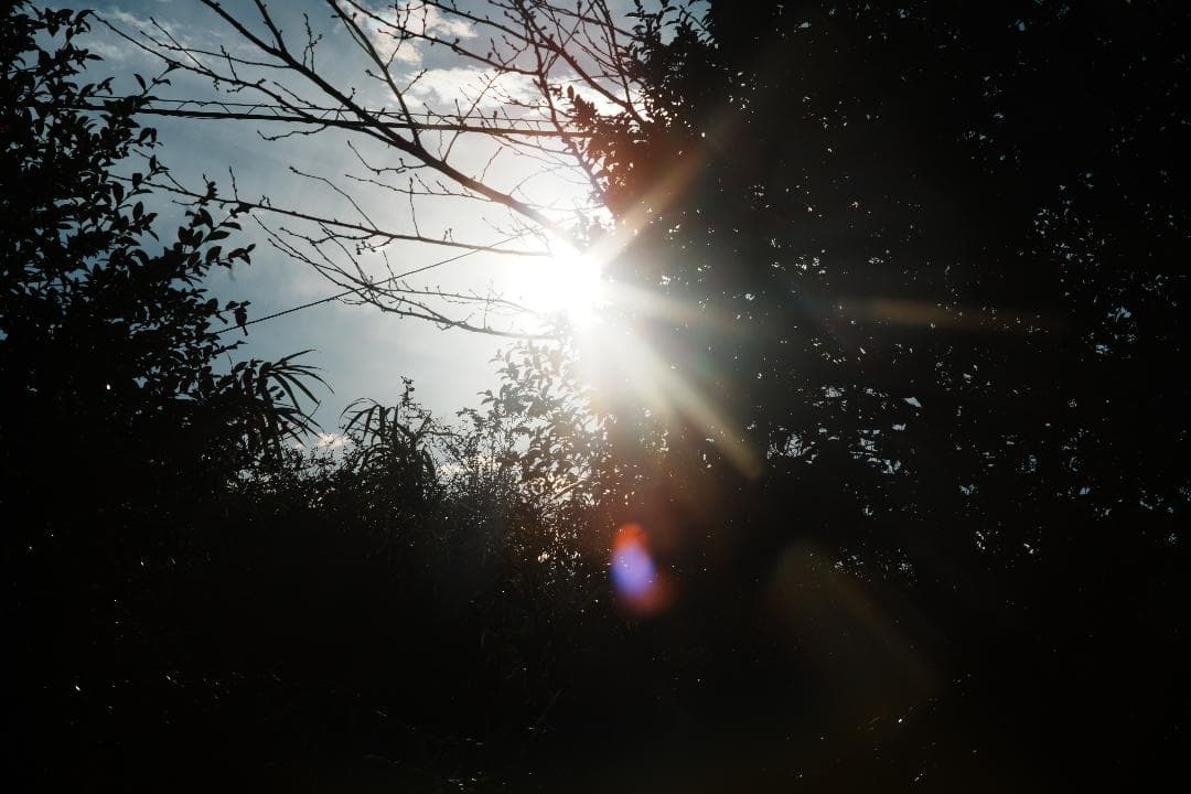 【整備＆テスト済】ミノルタ MC-ROKKOR PF 85mm F1.7 713