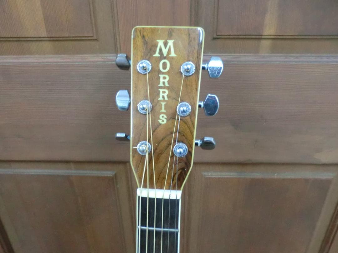 ギター Morris MF-40