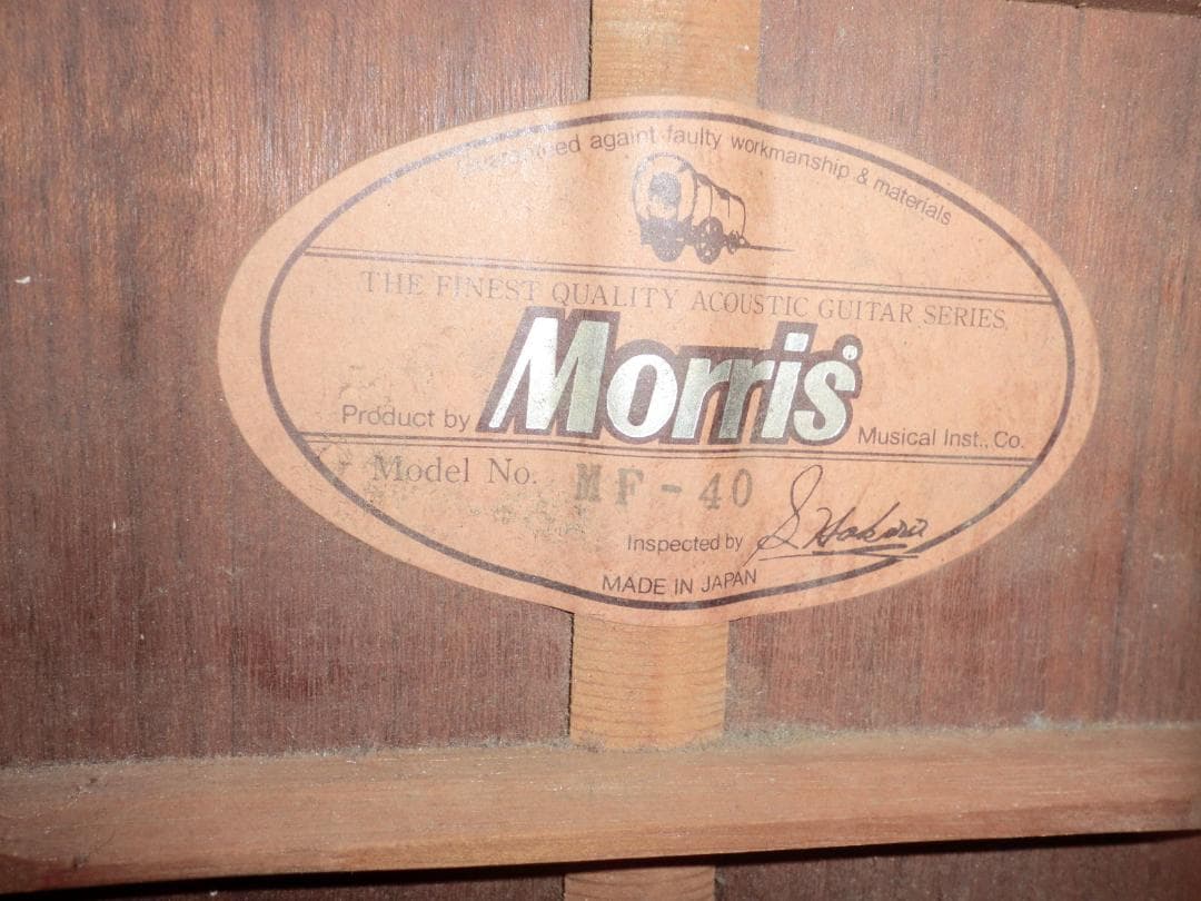 ギター Morris MF-40