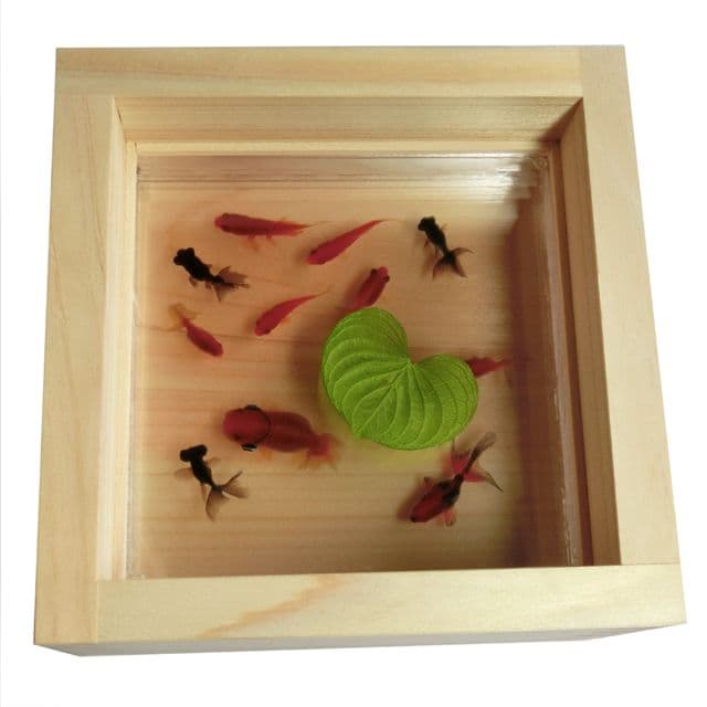 ヘッドホン 金魚 アート 楽 プリザーブドフラワー 還暦 プレゼント 音楽 開運