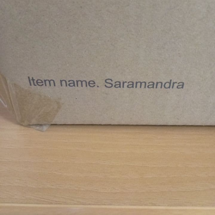 【輸送箱未開封】大怪獣シリーズ　ウルトラマン80　サラマンドラ　少年リック