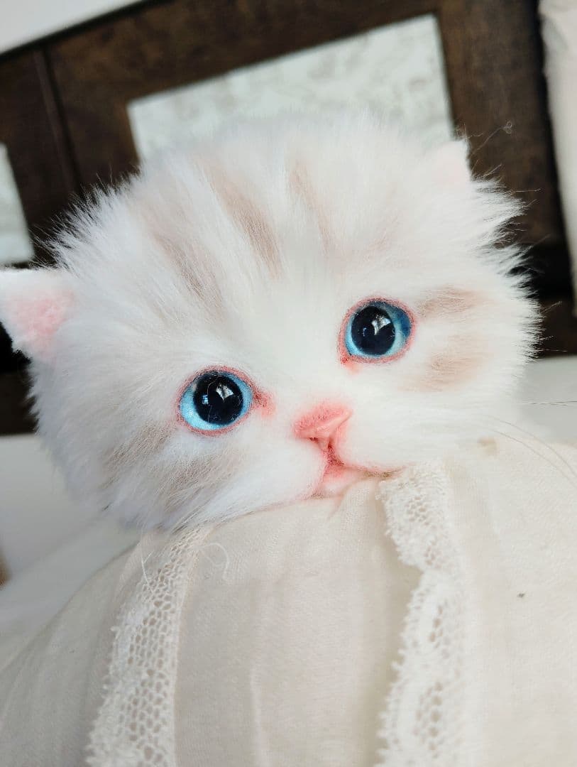 ラピ様御予約❤️よちよちあんよ♡短足ころころボディ♡マンチカン子猫ちゃん♡