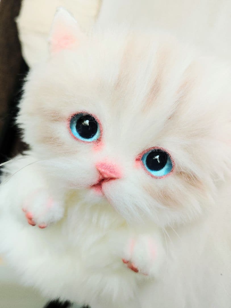 ラピ様御予約❤️よちよちあんよ♡短足ころころボディ♡マンチカン子猫ちゃん♡