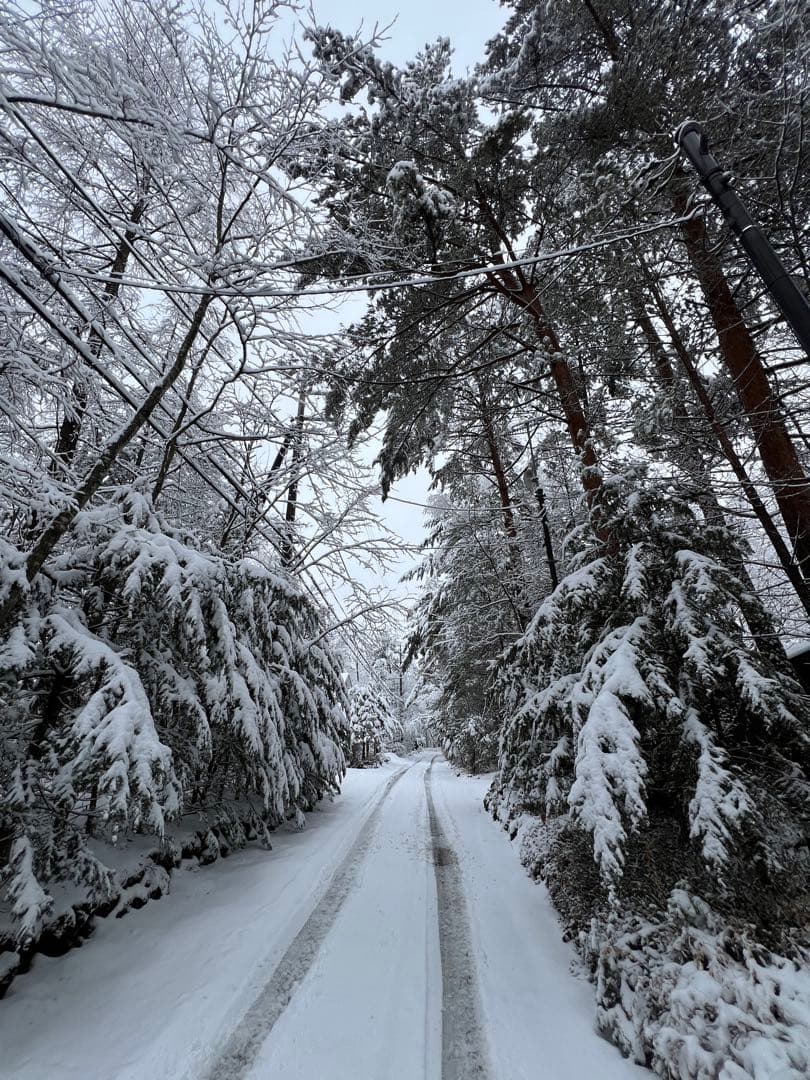室田豊四郎　水彩色紙