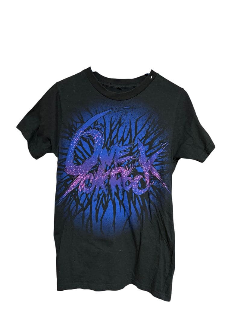 ONE OK ROCK 激レア入りTシャツセット全15枚