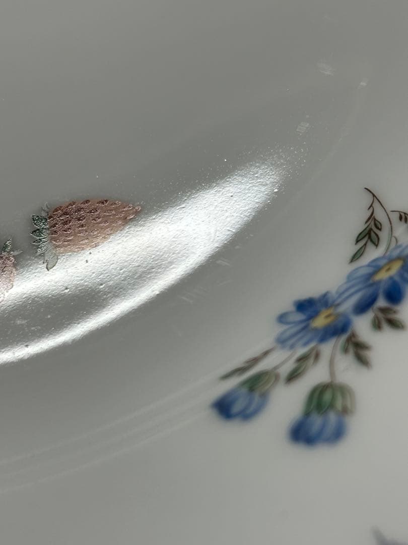 ①26cm 【USED】Richard Ginori プレート2P