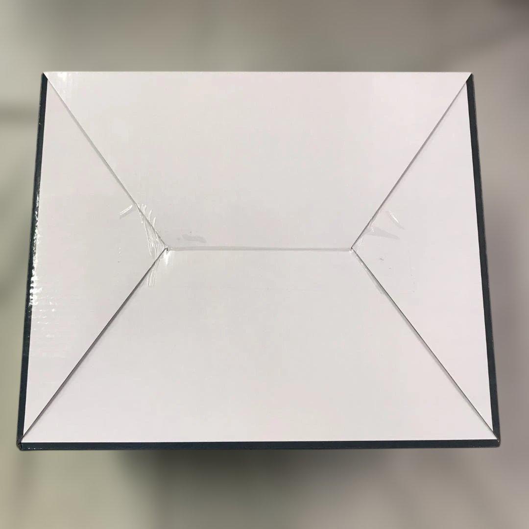 一番くじモンスターハンターワイルズ ラストワン賞 護竜アルシュベルド フィギュア