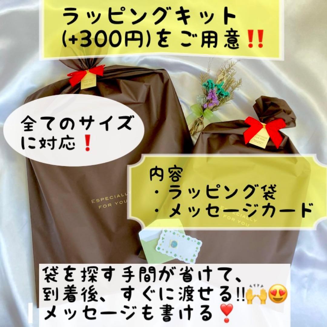 似顔絵　還暦祝い・古希・喜寿・米寿・傘寿・卒寿・百寿　ちゃんちゃんこ　b