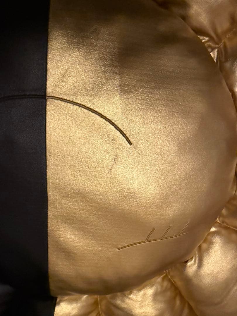 TM × HIKARU Collaboration Flower Cushion