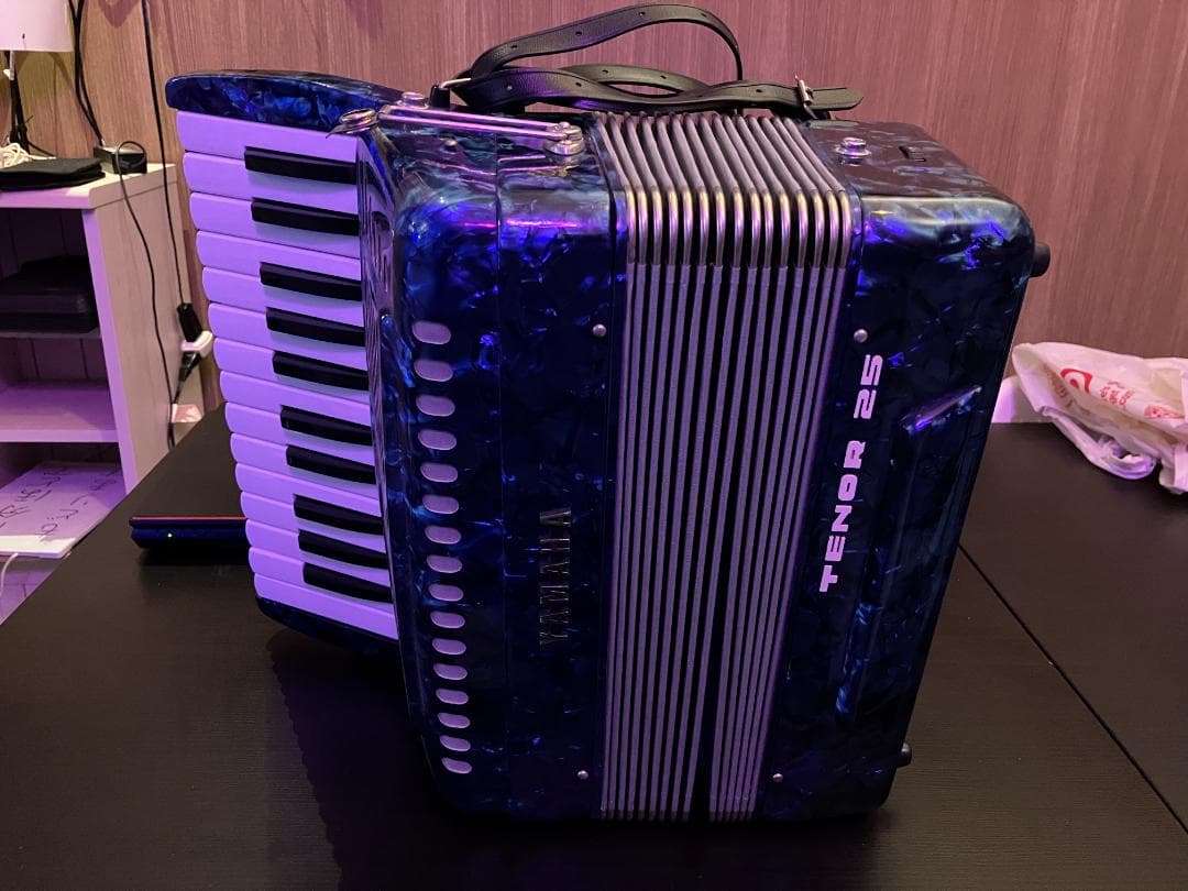YAMAHA TENOR 25 アコーディオン