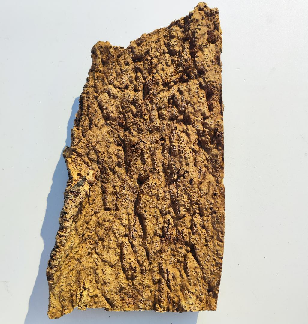 S092 お買得品　ポルトガル産 厚め コルク樹皮 コルク板　バージンコルク