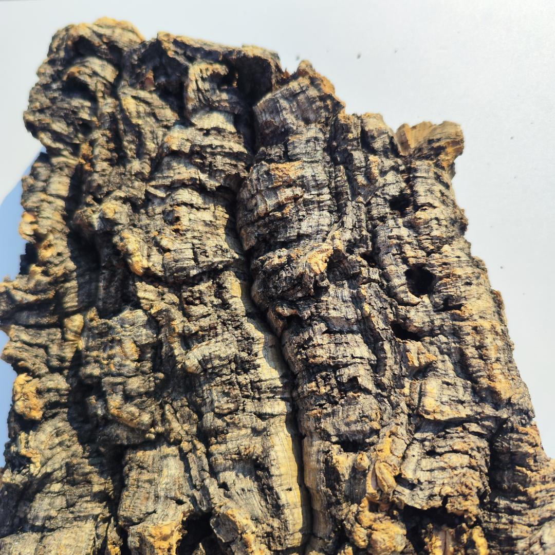 S092 お買得品　ポルトガル産 厚め コルク樹皮 コルク板　バージンコルク