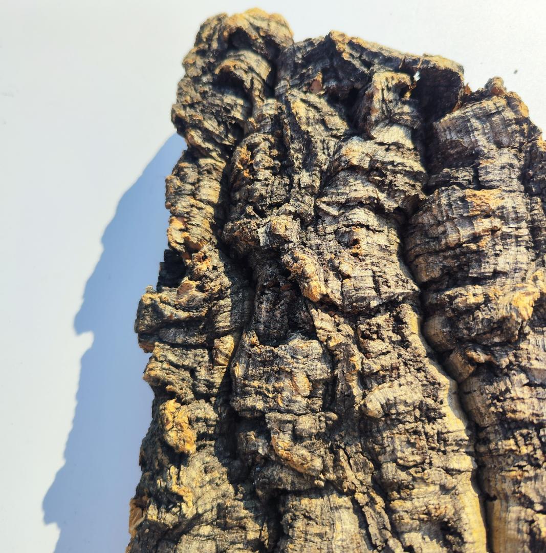 S092 お買得品　ポルトガル産 厚め コルク樹皮 コルク板　バージンコルク