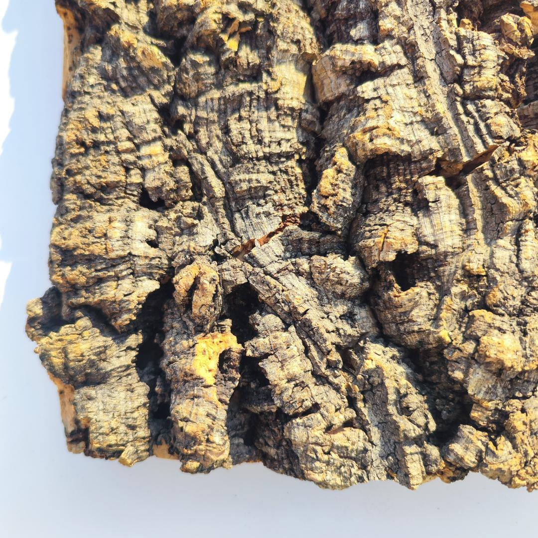 S092 お買得品　ポルトガル産 厚め コルク樹皮 コルク板　バージンコルク