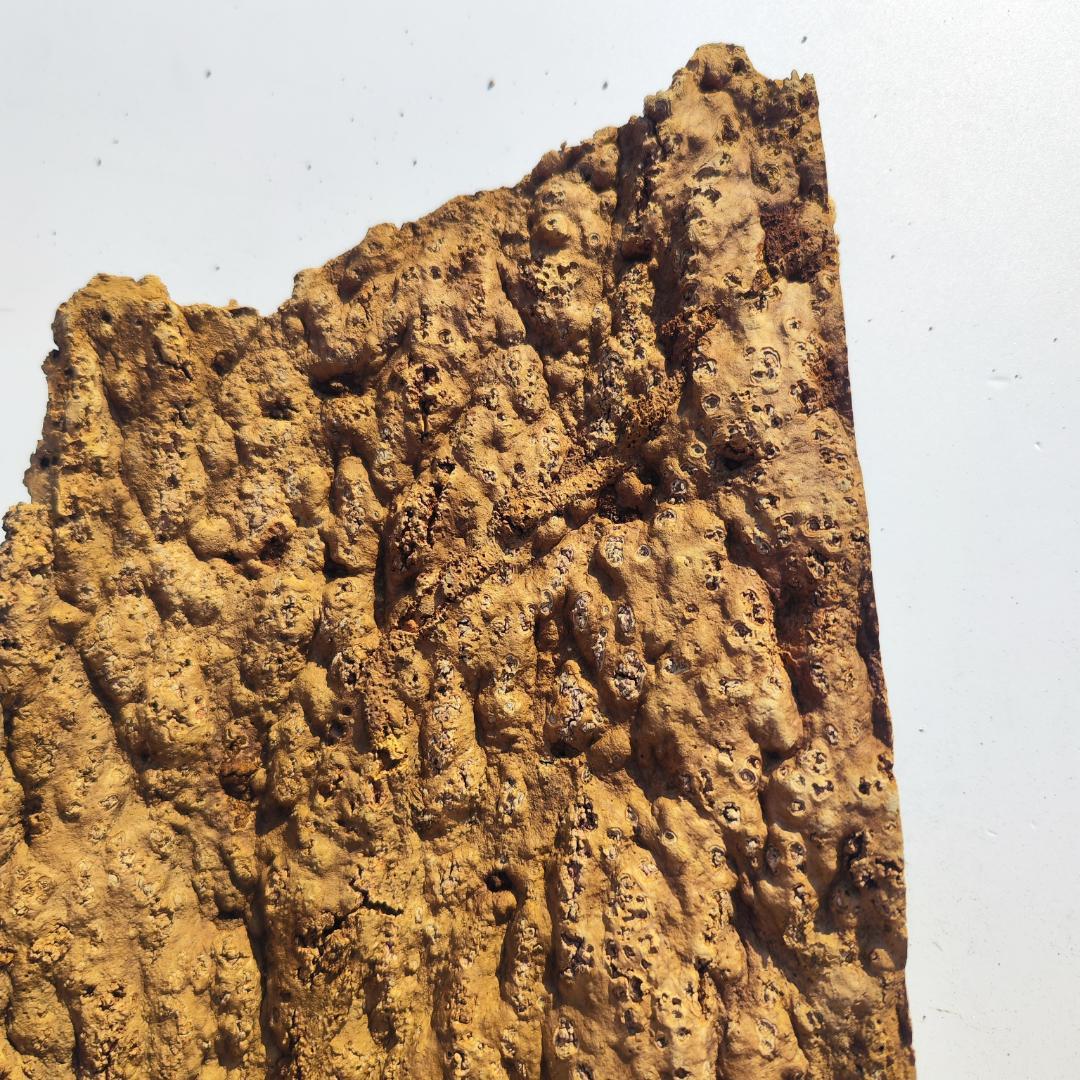 S092 お買得品　ポルトガル産 厚め コルク樹皮 コルク板　バージンコルク