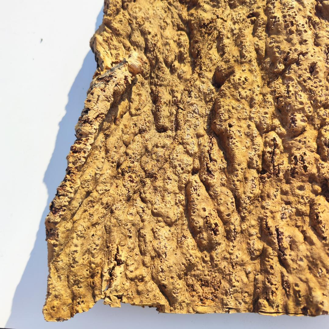 S092 お買得品　ポルトガル産 厚め コルク樹皮 コルク板　バージンコルク