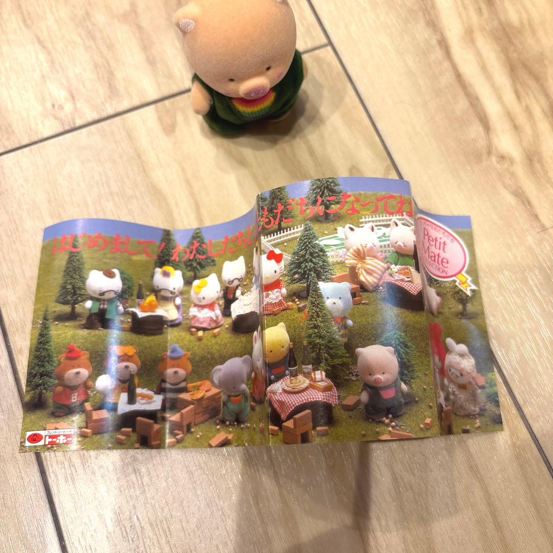 チアリーチャム　ぶたさん❤️