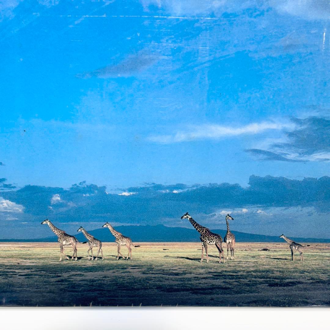 希少！廃盤！新品・未使用！やのまん ジグソーパズル 岩合光昭 アフリカシリーズ