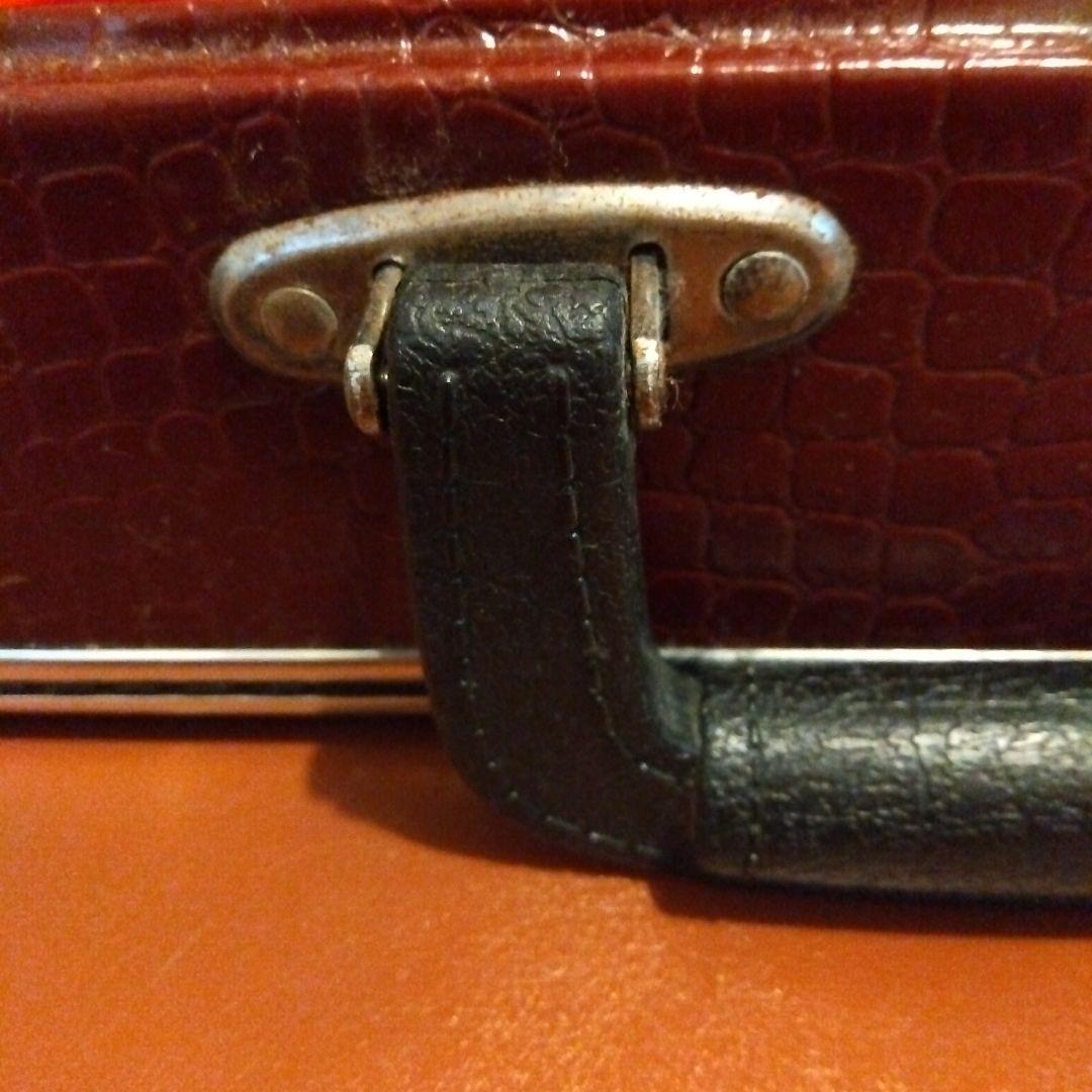 三線本体 蛇皮 金色刺繍 ケース付き