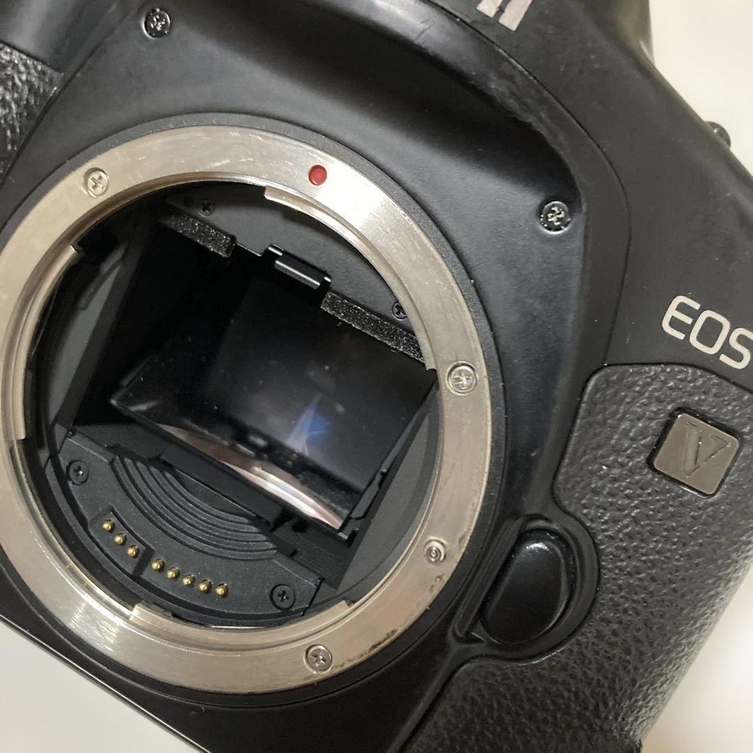 あお様 Canon EOS-1V ボディ