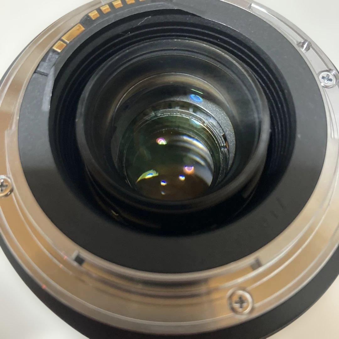 あお様 Canon EOS-1V ボディ