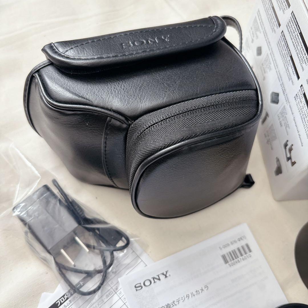 SONYミラーレス一眼 α6100 パワーズームレンズキット ブラック