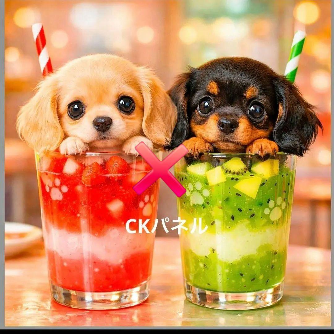 激レアドリンクチワワ、ダックス、パグ、柴犬、ポメラニアン、トイプーパネル生地