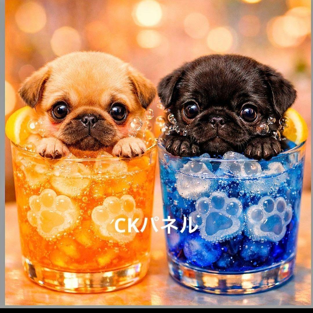 激レアドリンクチワワ、ダックス、パグ、柴犬、ポメラニアン、トイプーパネル生地