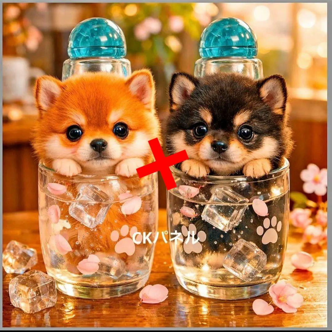 激レアドリンクチワワ、ダックス、パグ、柴犬、ポメラニアン、トイプーパネル生地